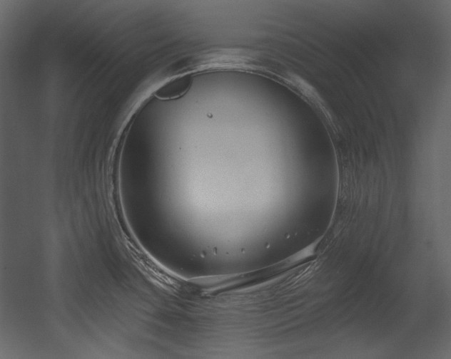 X0000054381435200508011242