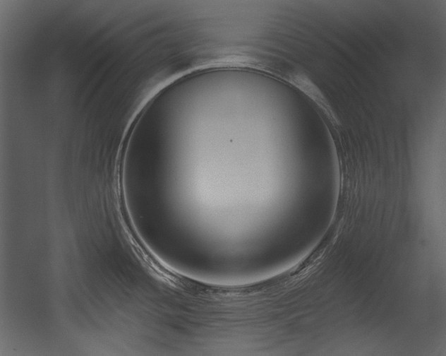 X0000054381436200508011242