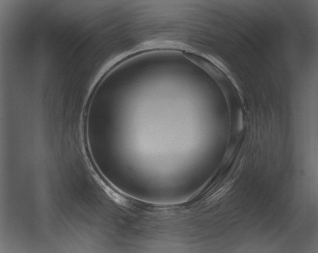 X0000054381438200508011242