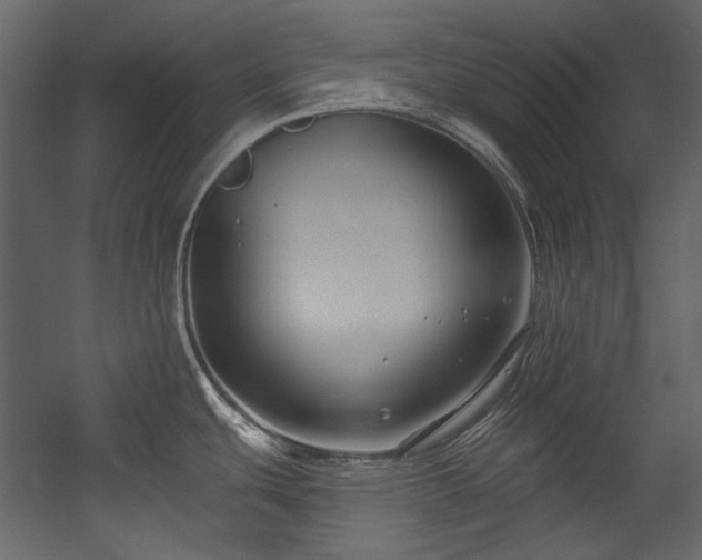 X0000054381439200508011242