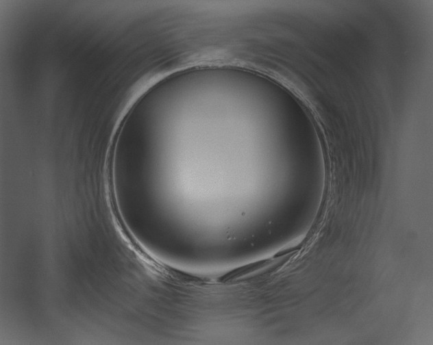 X0000054381440200508011242