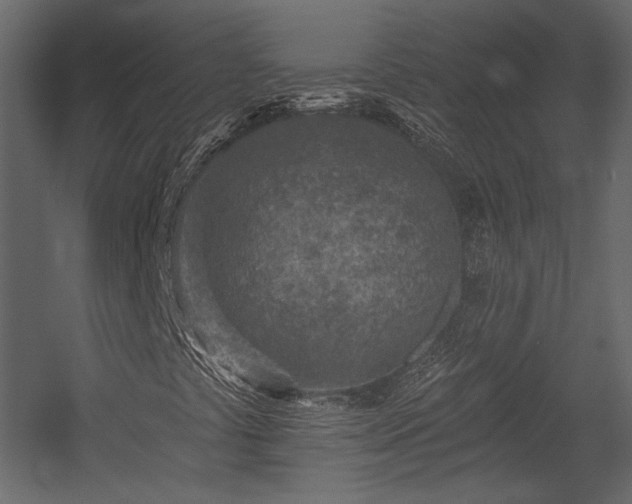 X0000054381441200508011241