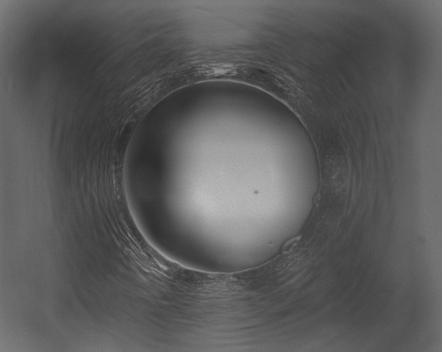 X0000054381442200508011241