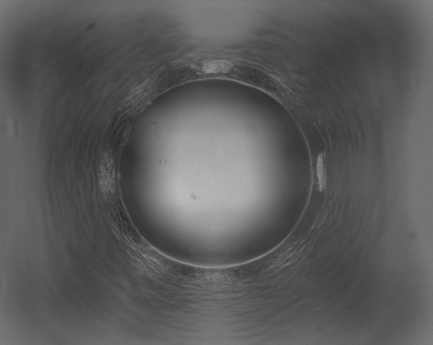 X0000054381443200508011241