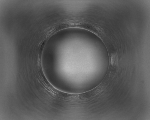 X0000054381444200508011241