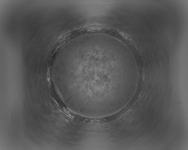 X0000054381445200508011241