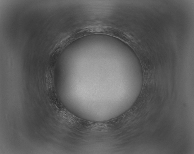 X0000054381446200508011241