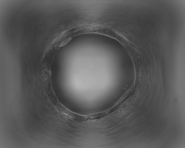 X0000054381447200508011241