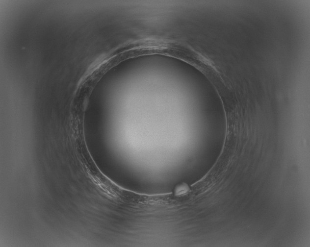 X0000054381448200508011241