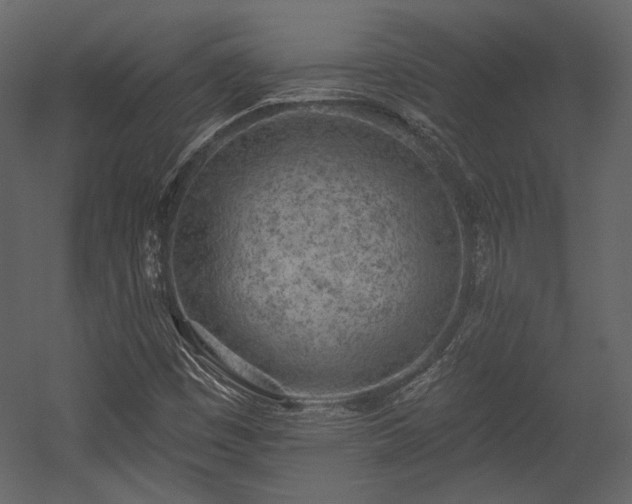 X0000054381449200508011241