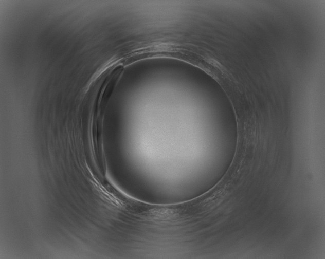 X0000054381450200508011241