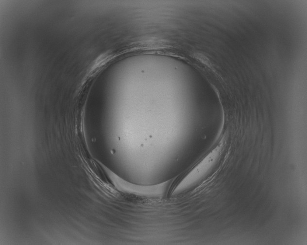 X0000054381451200508011241