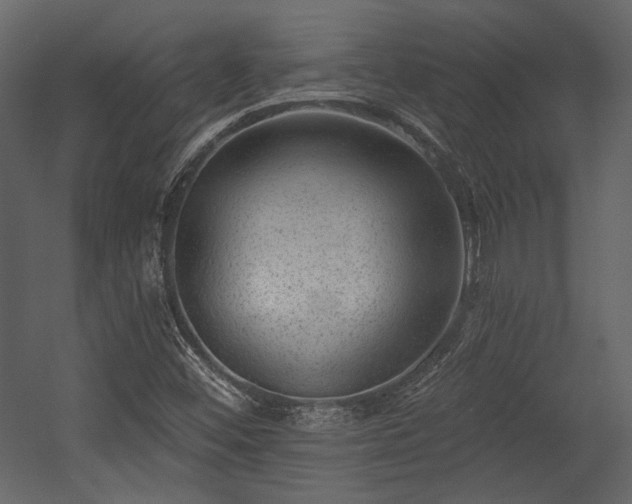 X0000054381452200508011241