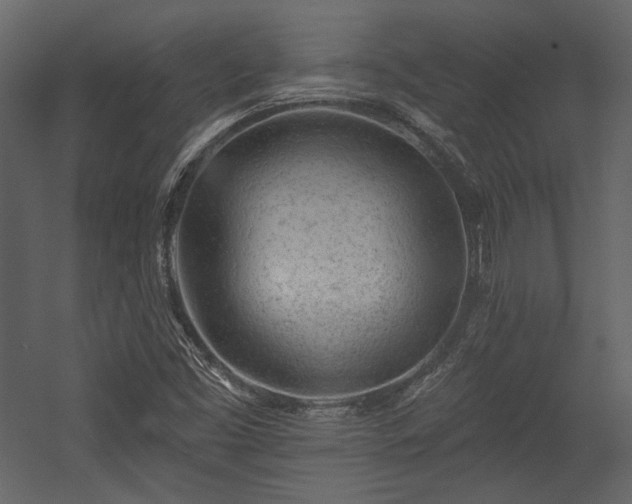 X0000054381453200508011241