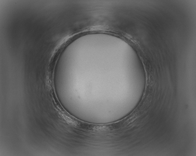 X0000054381454200508011241