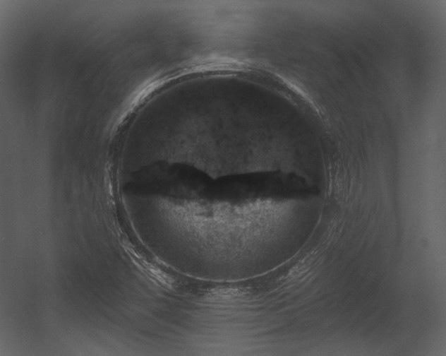 X0000054381455200508011241