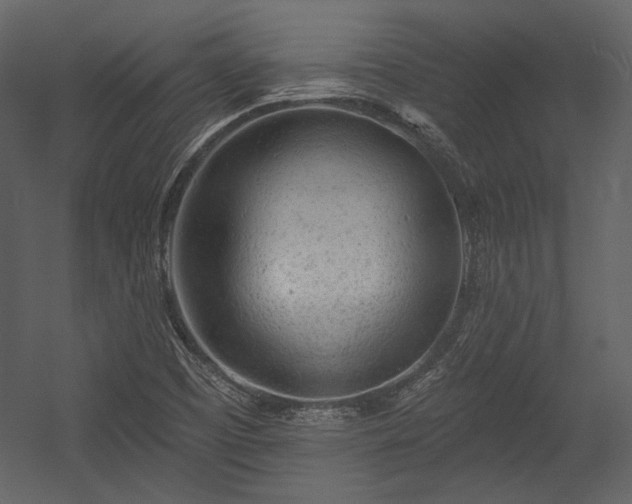 X0000054381457200508011241