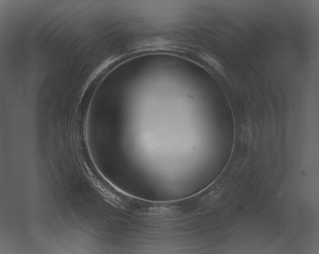 X0000054381458200508011241