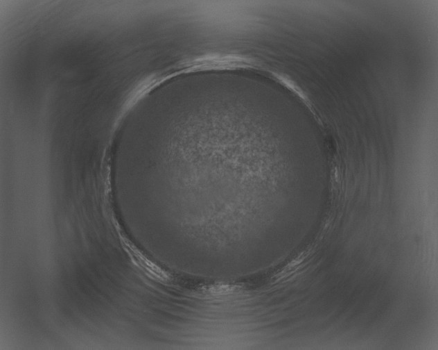 X0000054381459200508011241