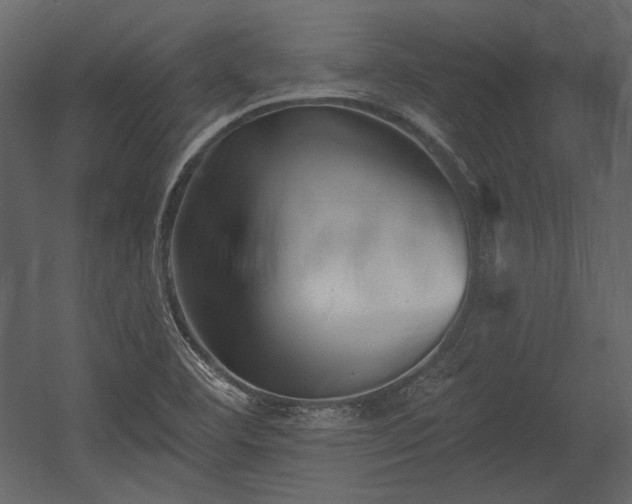 X0000054381460200508011241