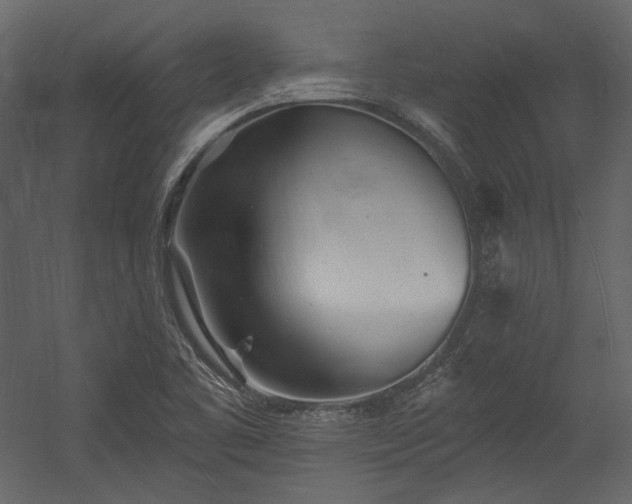 X0000054381461200508011241