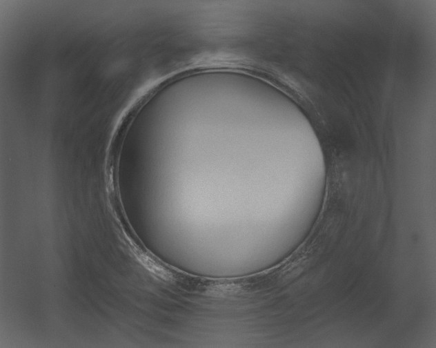 X0000054381462200508011241