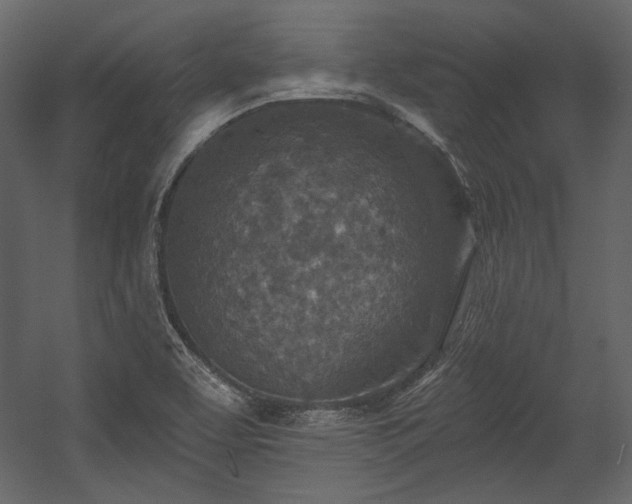 X0000054381463200508011241