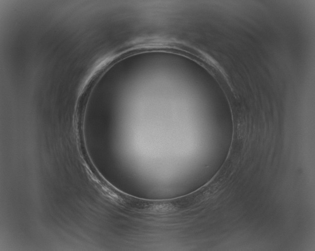 X0000054381464200508011241