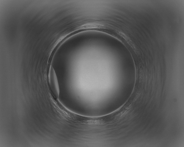 X0000054381465200508011241