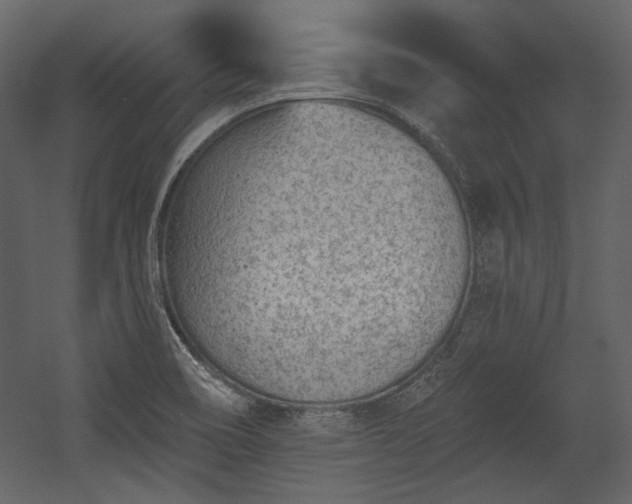 X0000054381466200508011241
