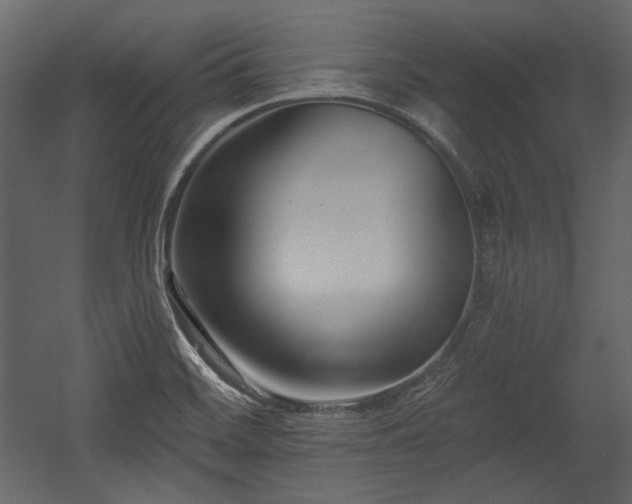 X0000054381468200508011241