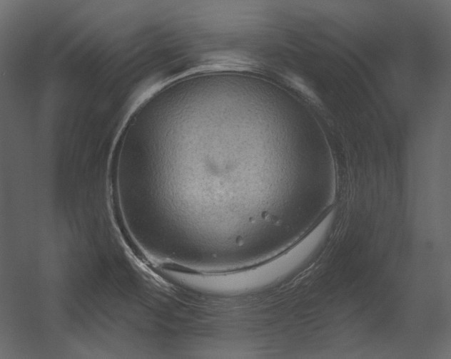 X0000054381471200508011241