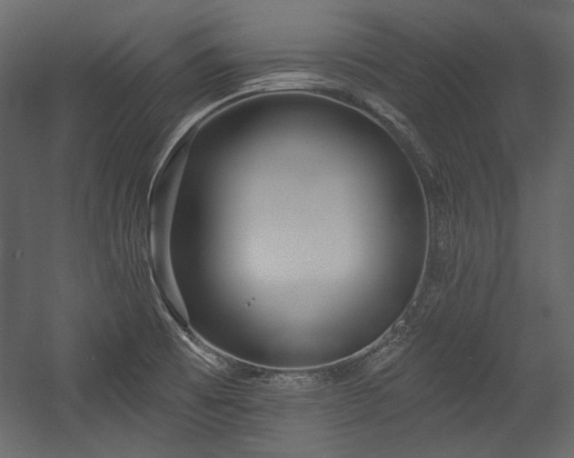 X0000054381473200508011241