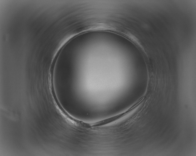 X0000054381476200508011241