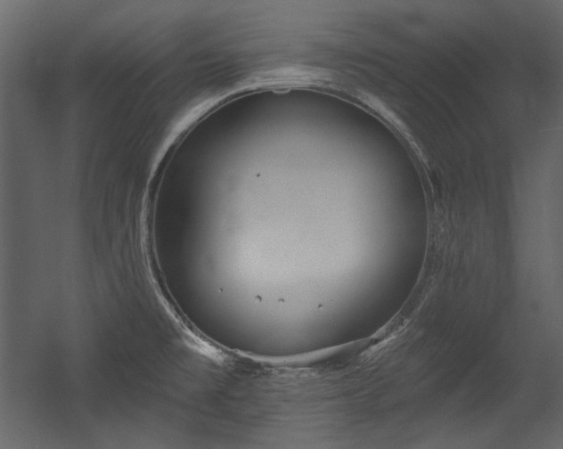 X0000054381477200508011241