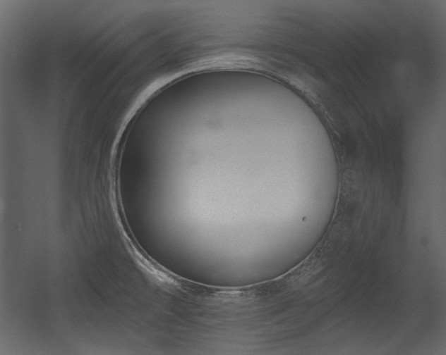 X0000054381478200508011241