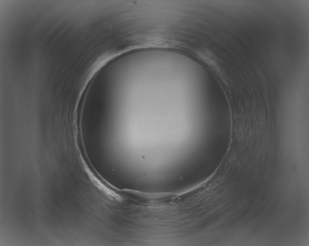 X0000054381479200508011241
