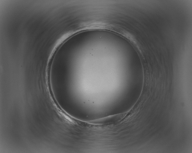 X0000054381480200508011241
