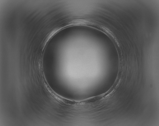 X0000054381481200508011241