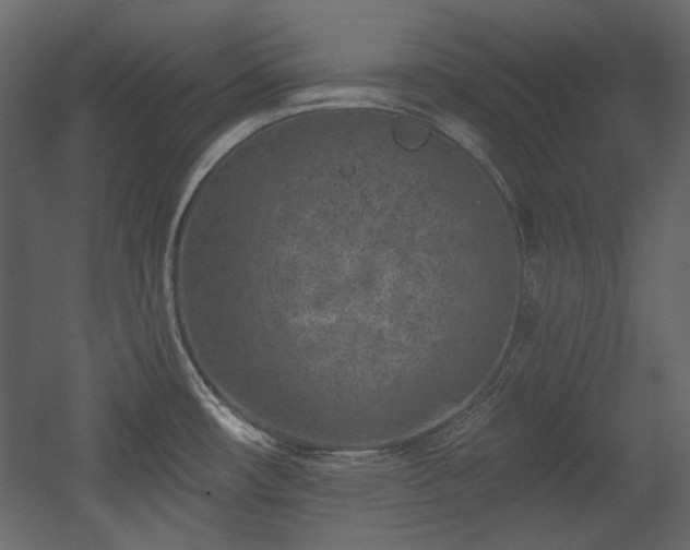 X0000054381482200508011240