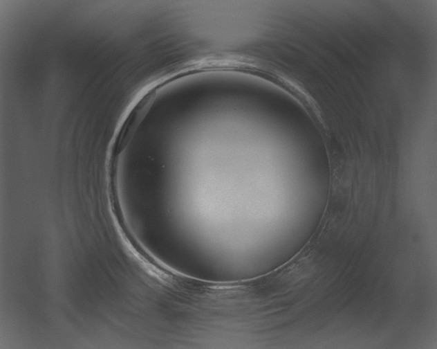 X0000054381483200508011240