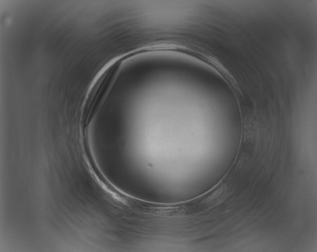 X0000054381484200508011240