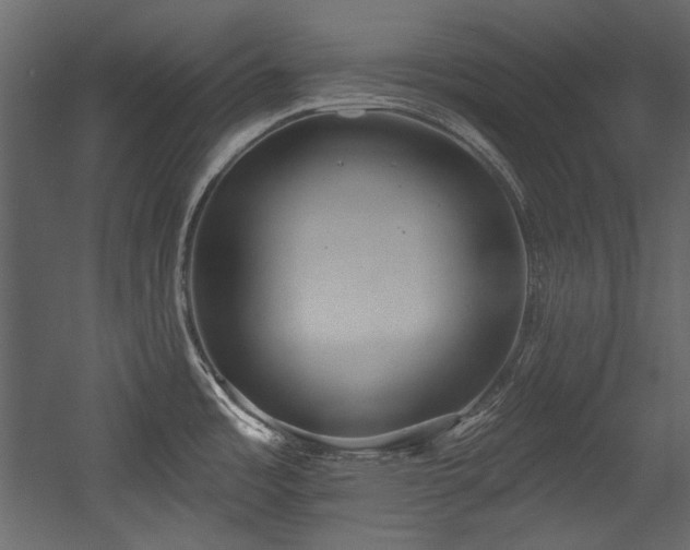 X0000054381485200508011240