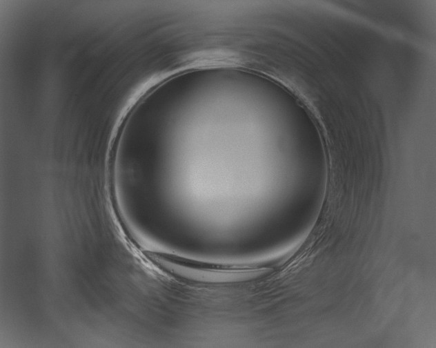 X0000054381488200508011240
