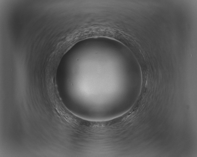 X0000054381489200508011240