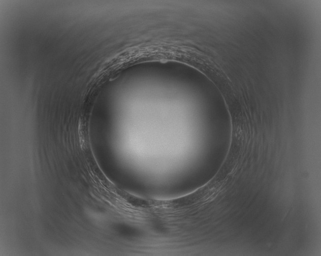X0000054381490200508011240