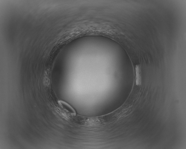 X0000054381491200508011240
