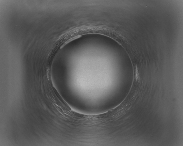 X0000054381492200508011240
