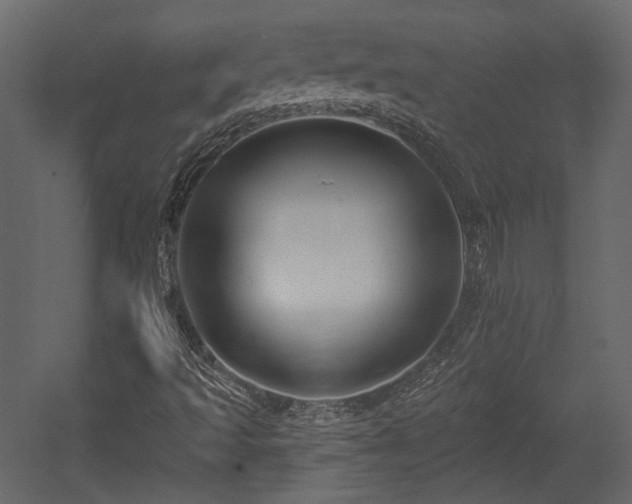 X0000054381493200508011240