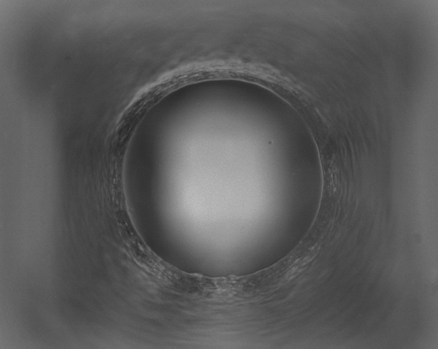 X0000054381494200508011240